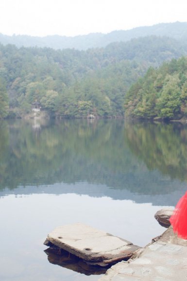 200亩萝卜被拔光是怎么回事?网友、专家怎么看?“betway”(图1) 必威体育登录